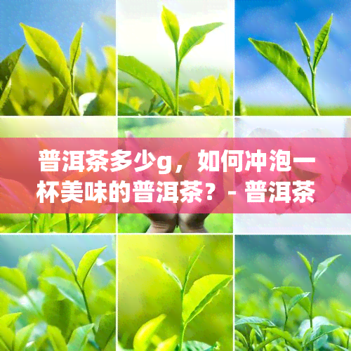 普洱茶多少g，如何冲泡一杯美味的普洱茶？- 普洱茶用量建议