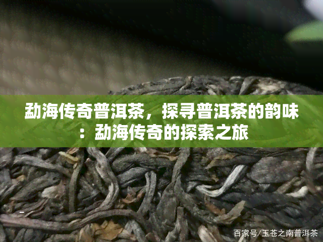 勐海传奇普洱茶，探寻普洱茶的韵味：勐海传奇的探索之旅