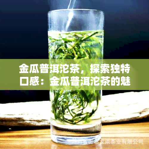 金瓜普洱沱茶，探索独特口感：金瓜普洱沱茶的魅力所在