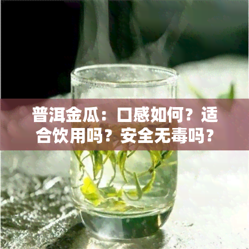 普洱金瓜：口感如何？适合饮用吗？安全无吗？