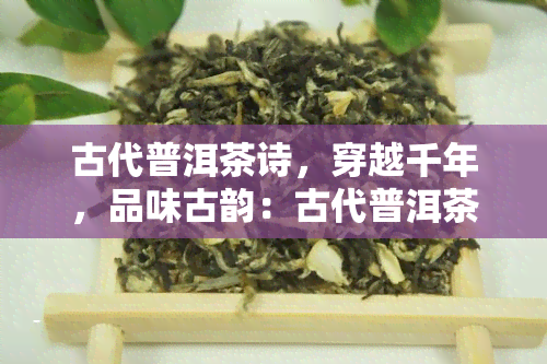 古代普洱茶诗，穿越千年，品味古韵：古代普洱茶诗的探索与欣