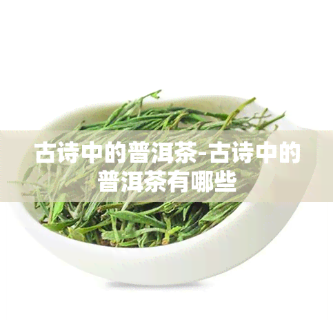 古诗中的普洱茶-古诗中的普洱茶有哪些