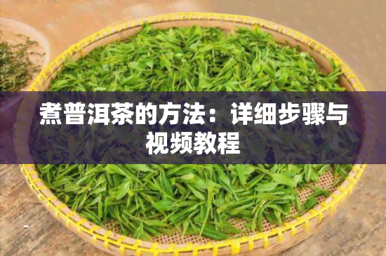 煮普洱茶的方法：详细步骤与视频教程