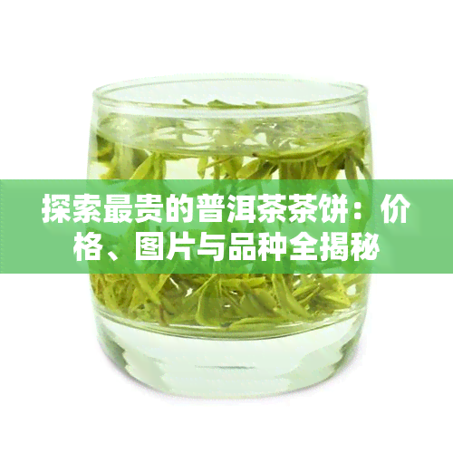 探索最贵的普洱茶茶饼：价格、图片与品种全揭秘