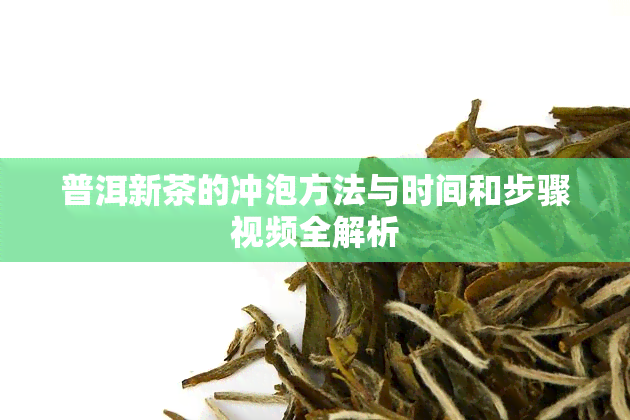 普洱新茶的冲泡方法与时间和步骤视频全解析