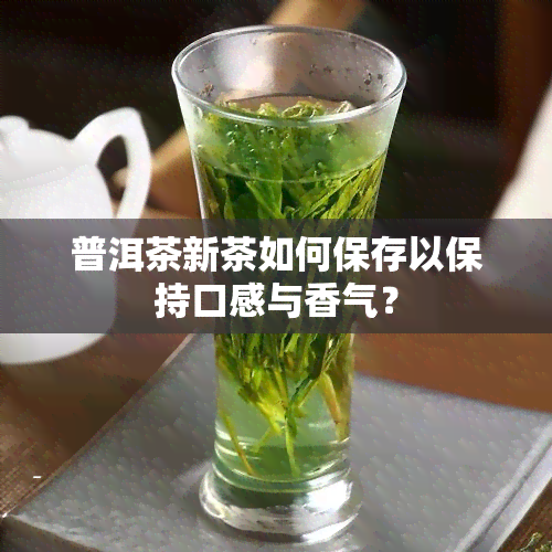 普洱茶新茶如何保存以保持口感与香气？