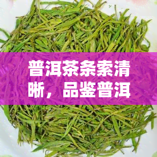 普洱茶条索清晰，品鉴普洱茶：条索清晰，韵味悠长