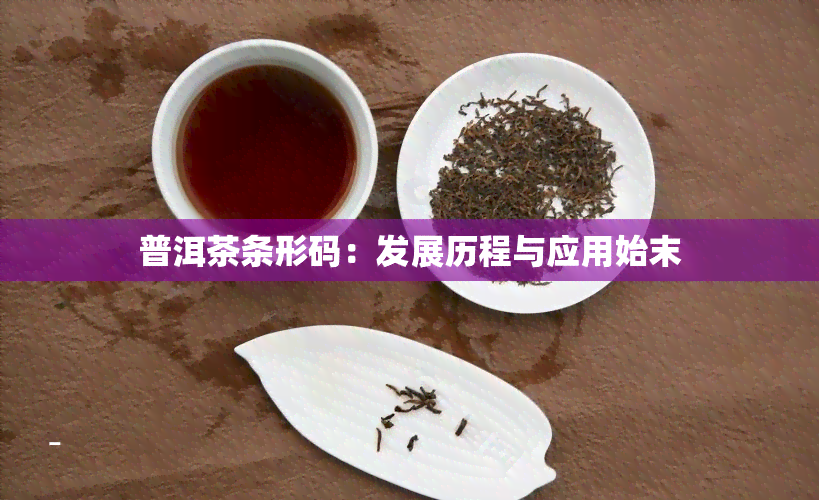 普洱茶条形码：发展历程与应用始末