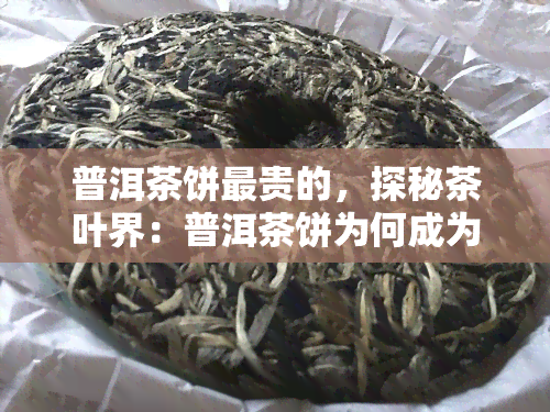 普洱茶饼最贵的，探秘茶叶界：普洱茶饼为何成为最昂贵的存在？