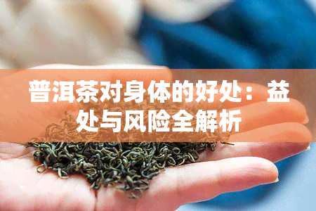 普洱茶对身体的好处：益处与风险全解析