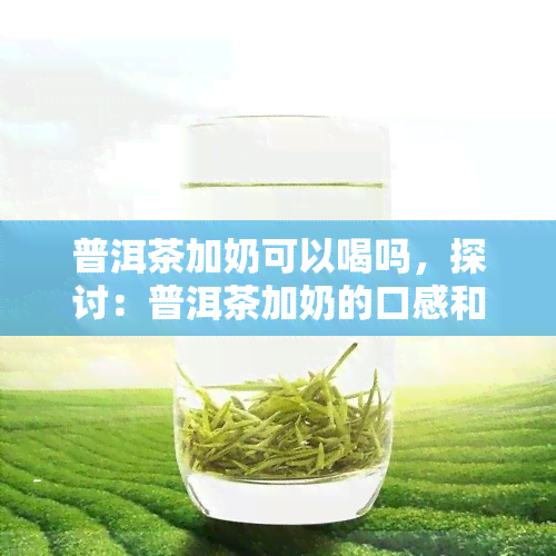 普洱茶加奶可以喝吗，探讨：普洱茶加奶的口感和饮用方法