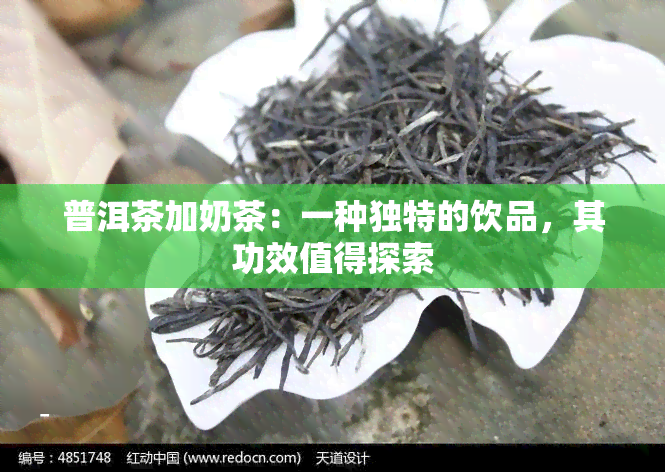 普洱茶加奶茶：一种独特的饮品，其功效值得探索