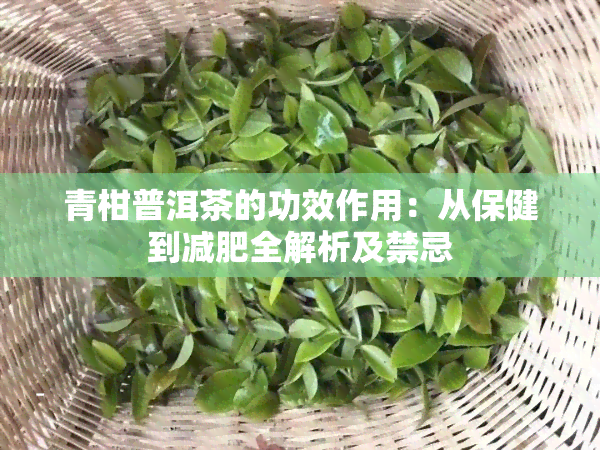 青柑普洱茶的功效作用：从保健到减肥全解析及禁忌