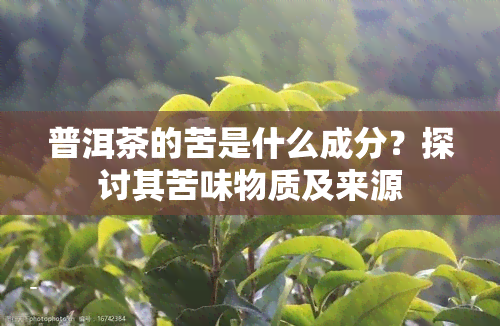 普洱茶的苦是什么成分？探讨其苦味物质及来源