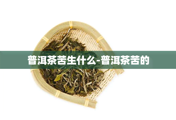 普洱茶苦生什么-普洱茶苦的