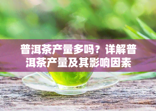 普洱茶产量多吗？详解普洱茶产量及其影响因素