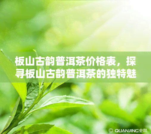 板山古韵普洱茶价格表，探寻板山古韵普洱茶的独特魅力：价格一览表