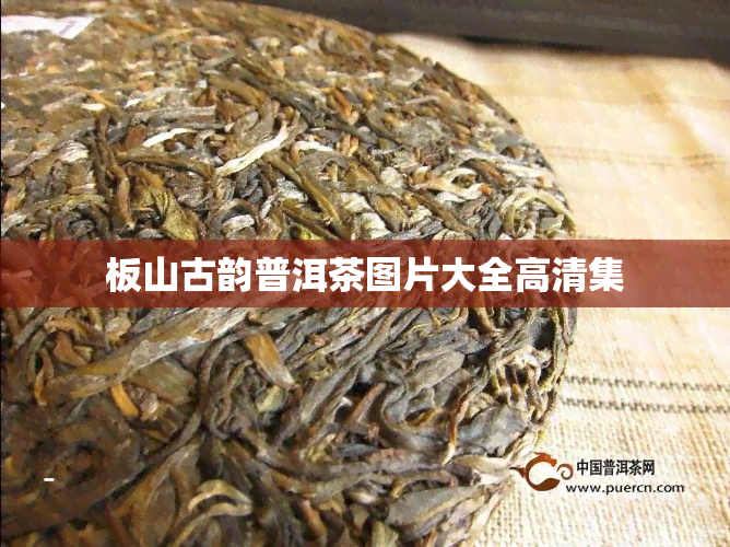 板山古韵普洱茶图片大全高清集