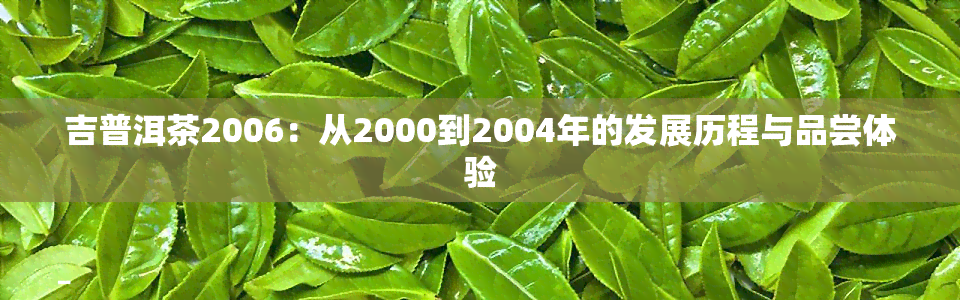 吉普洱茶2006：从2000到2004年的发展历程与品尝体验