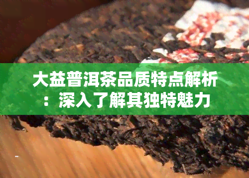 大益普洱茶品质特点解析：深入了解其独特魅力