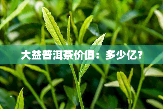 大益普洱茶价值：多少亿？