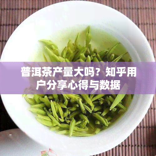 普洱茶产量大吗？知乎用户分享心得与数据