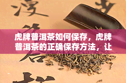 虎牌普洱茶如何保存，虎牌普洱茶的正确保存方法，让你品味更佳！