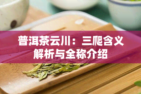 普洱茶云川：三爬含义解析与全称介绍