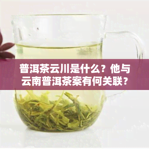 普洱茶云川是什么？他与云南普洱茶案有何关联？