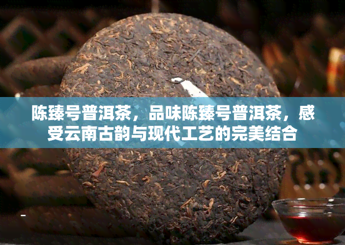 陈臻号普洱茶，品味陈臻号普洱茶，感受云南古韵与现代工艺的完美结合