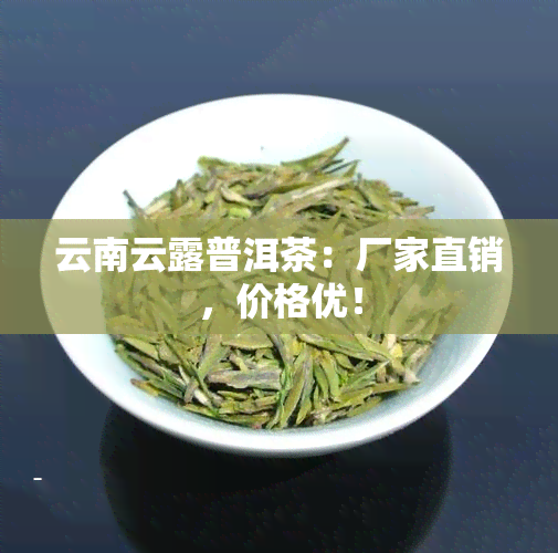 云南云露普洱茶：厂家直销，价格优！