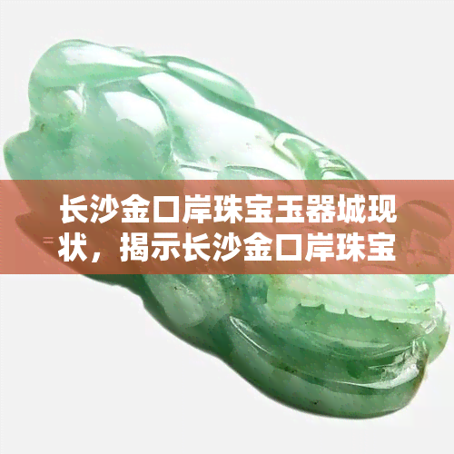 长沙金口岸珠宝玉器城现状，揭示长沙金口岸珠宝玉器城的现状与未来前景