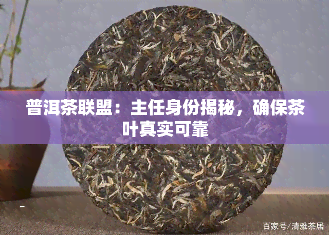 普洱茶联盟：主任身份揭秘，确保茶叶真实可靠