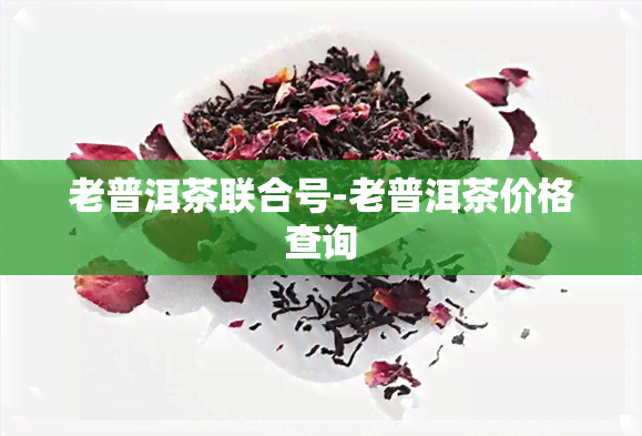 老普洱茶联合号-老普洱茶价格查询