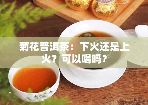 菊花普洱茶：下火还是上火？可以喝吗？