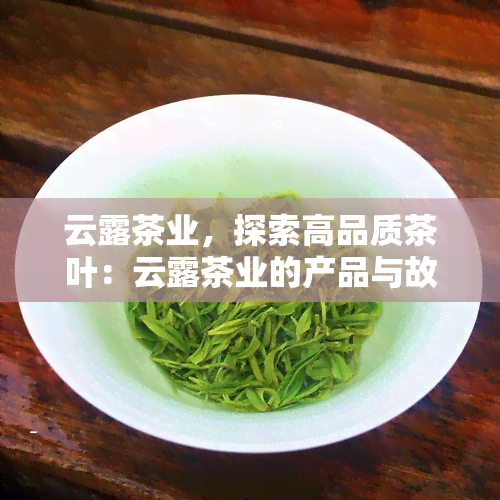 云露茶业，探索高品质茶叶：云露茶业的产品与故事