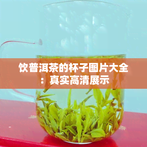 饮普洱茶的杯子图片大全：真实高清展示