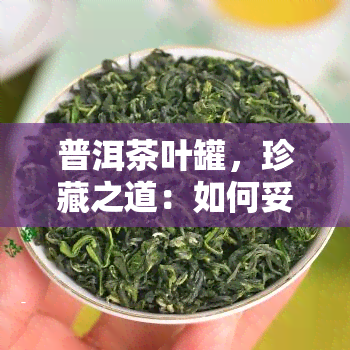 普洱茶叶罐，珍藏之道：如何妥善保存普洱茶叶罐？