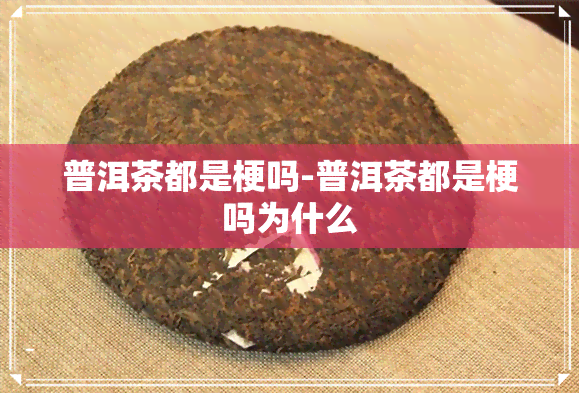 普洱茶都是梗吗-普洱茶都是梗吗为什么