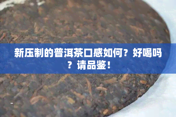 新压制的普洱茶口感如何？好喝吗？请品鉴！