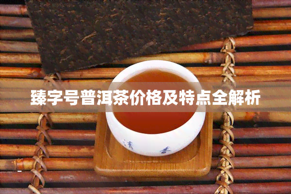 臻字号普洱茶价格及特点全解析