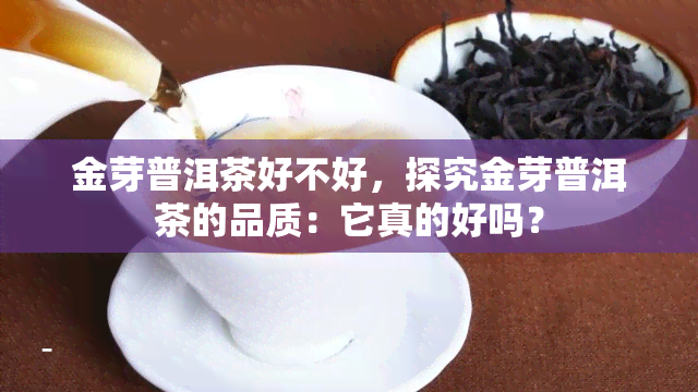 金芽普洱茶好不好，探究金芽普洱茶的品质：它真的好吗？