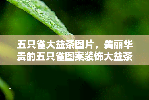 五只雀大益茶图片，美丽华贵的五只雀图案装饰大益茶叶包装，独具特色！