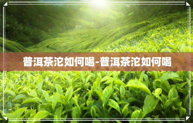 普洱茶沱如何喝-普洱茶沱如何喝