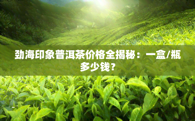 劲海印象普洱茶价格全揭秘：一盒/瓶多少钱？