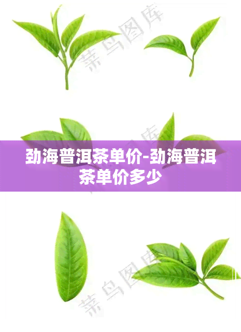 劲海普洱茶单价-劲海普洱茶单价多少