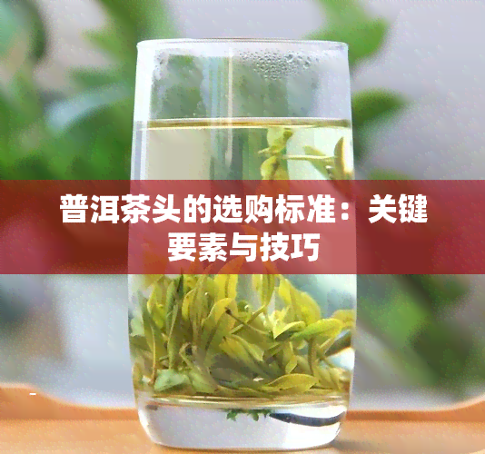 普洱茶头的选购标准：关键要素与技巧