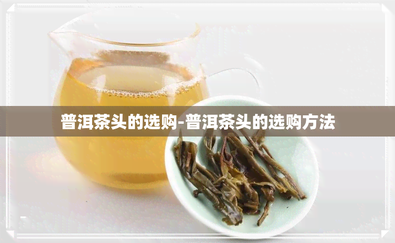 普洱茶头的选购-普洱茶头的选购方法