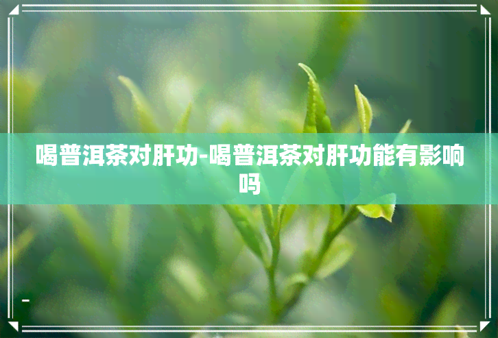 喝普洱茶对肝功-喝普洱茶对肝功能有影响吗