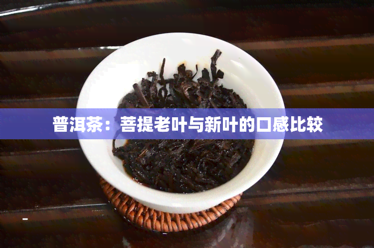 普洱茶：菩提老叶与新叶的口感比较